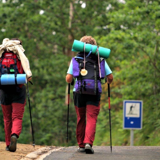 Guía completa para recorrer el Camino de Santiago en 2025