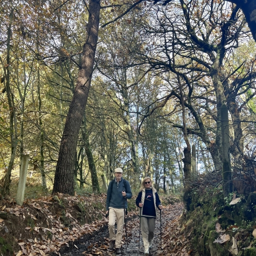 Navegando los Desafíos del Camino: Clima, Terreno y Salud